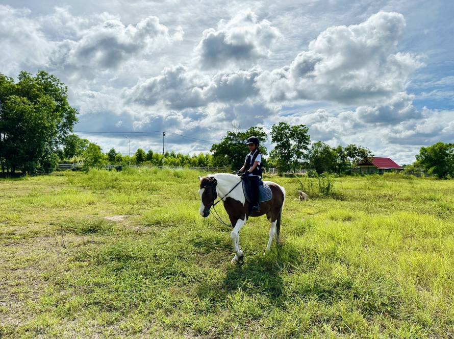 horse club