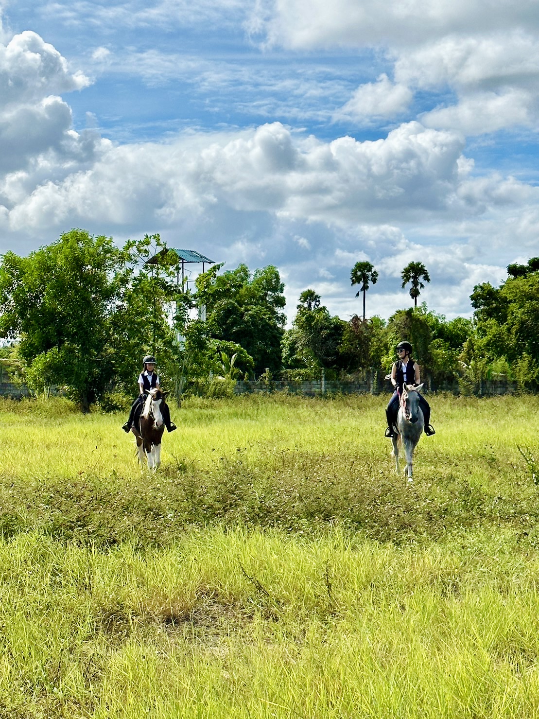 horse club